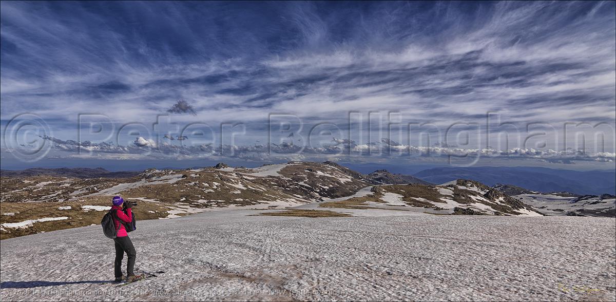 Peter Bellingham Photography Nic Snow Shoeing - Kosciuszko NP - NSW (PBH4 00 10614)